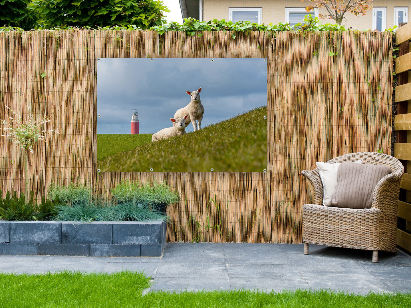 Tuinposter Lammetjes in de wei voor de vuurtoren