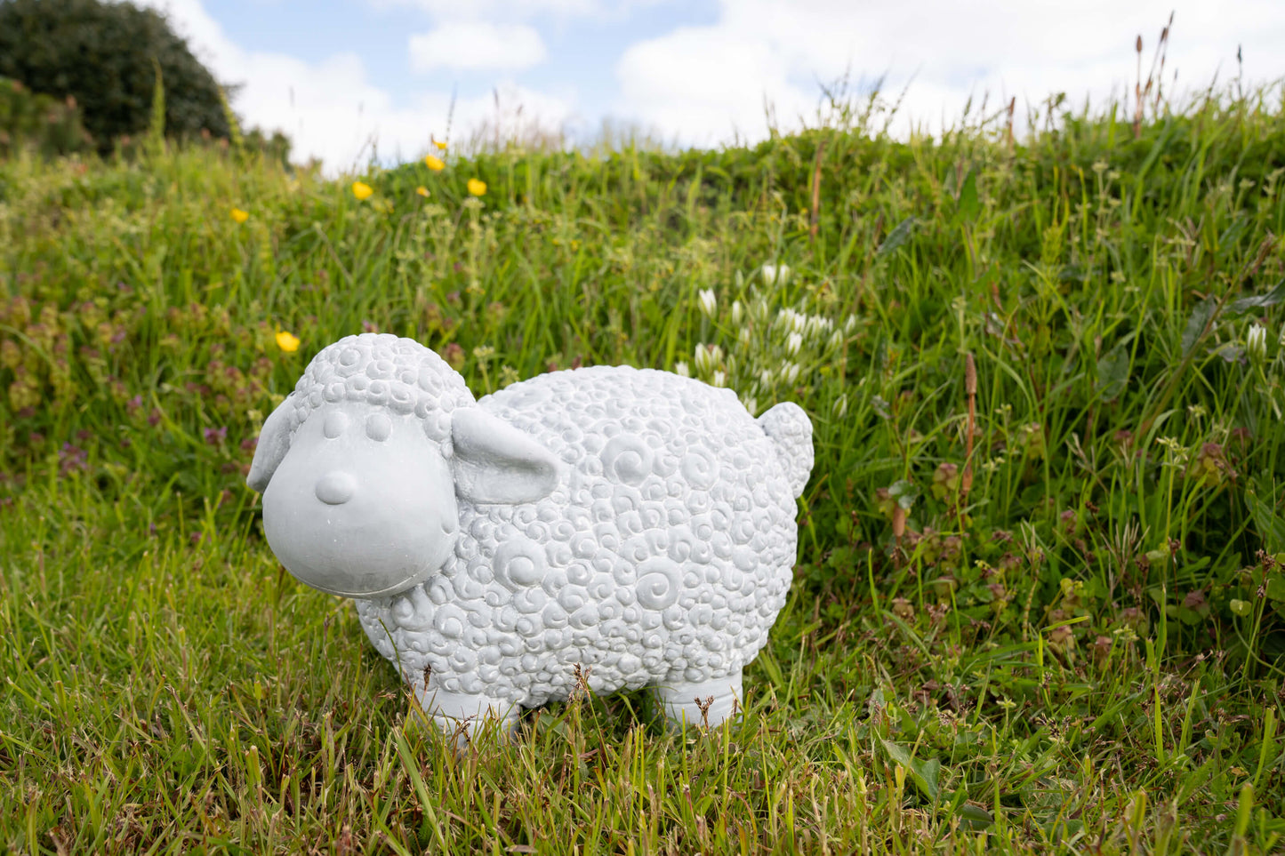 Texeler Lämmchen für den Garten