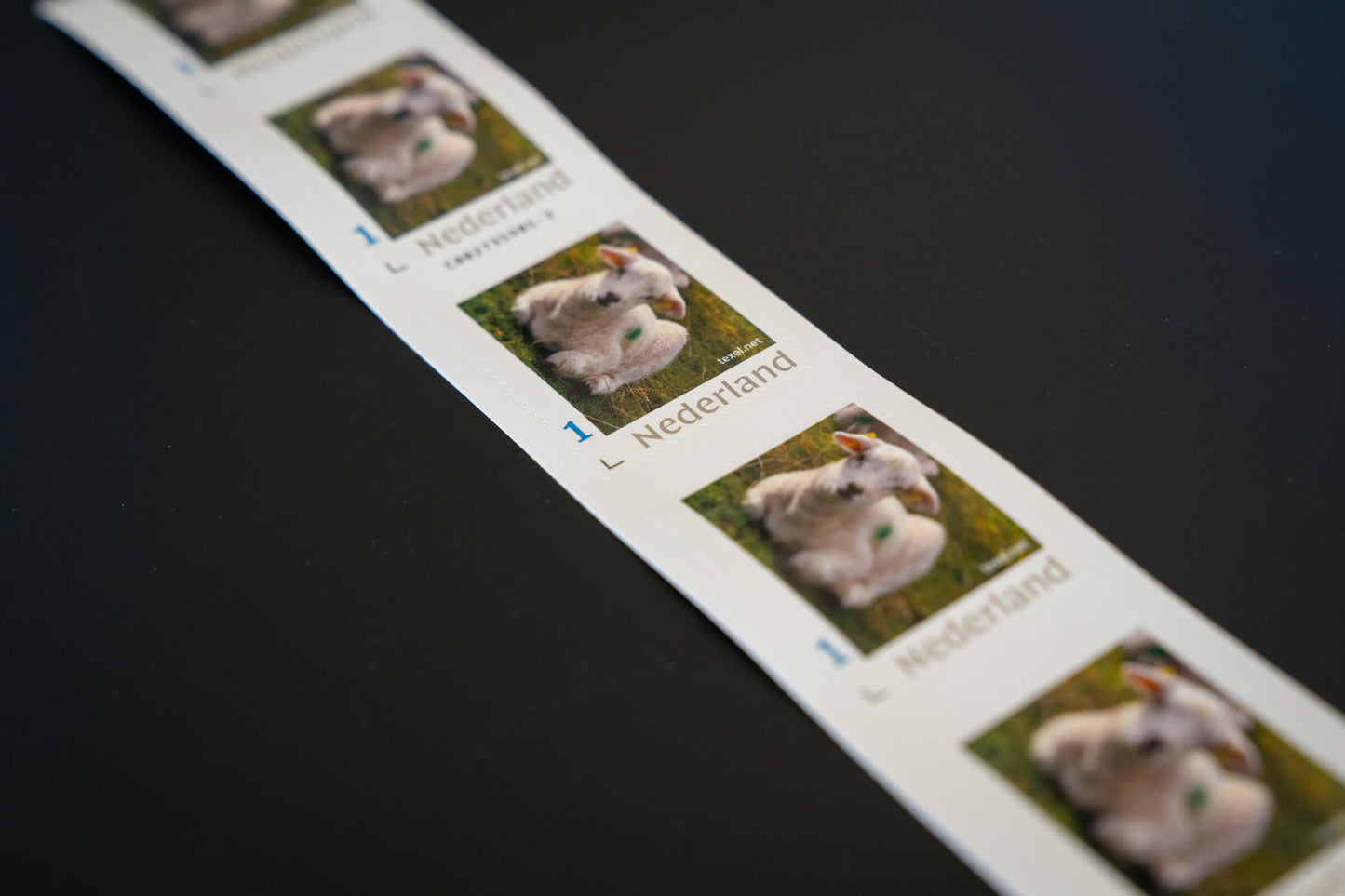 Texel-Briefmarke Lamm – 5 Stück