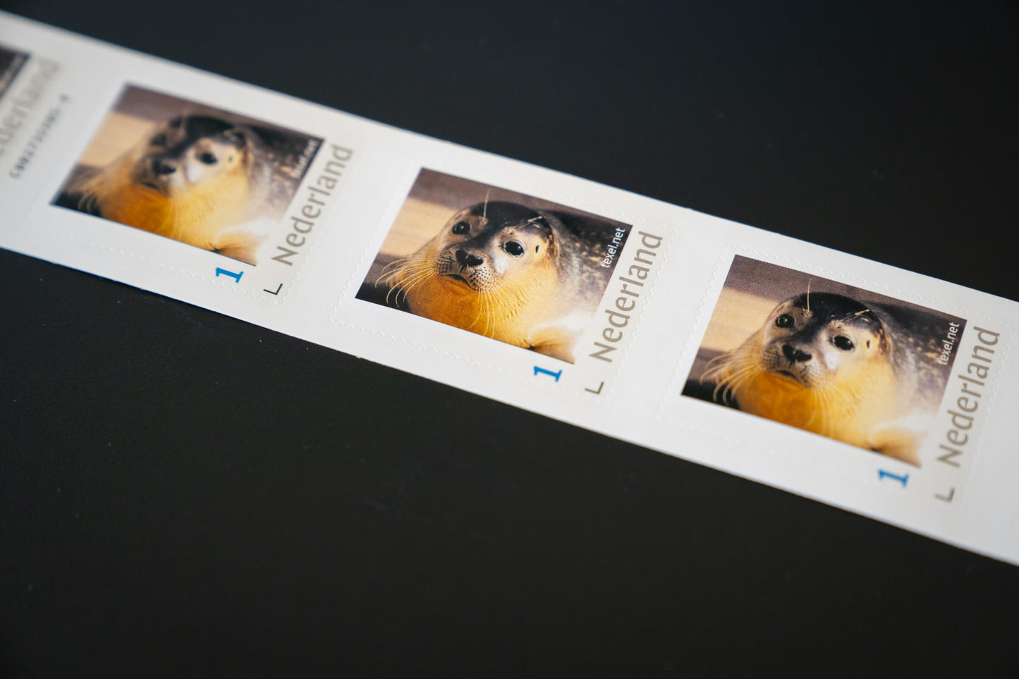 Texel-Stempelsiegel – 5 Stück
