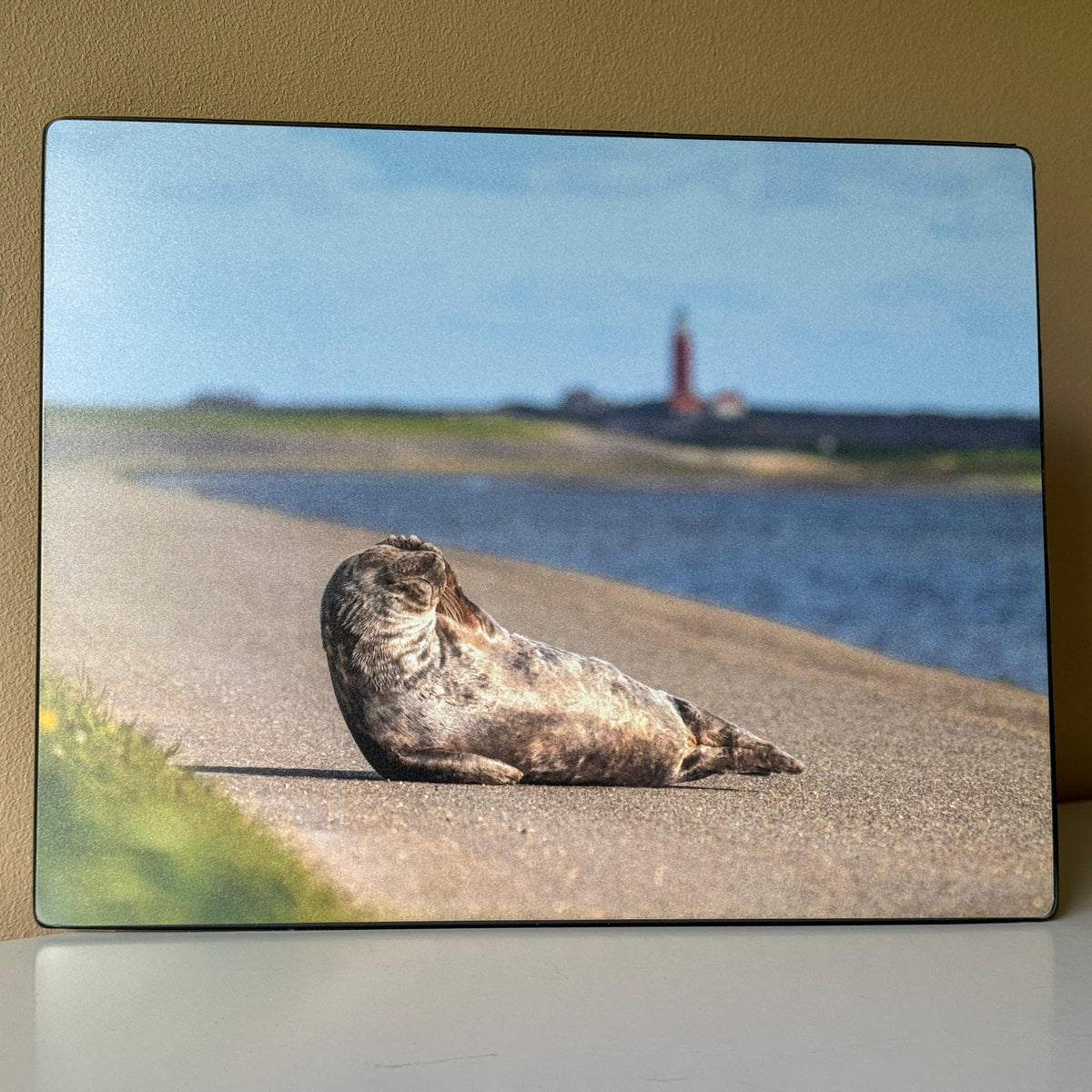 Muismat Texel