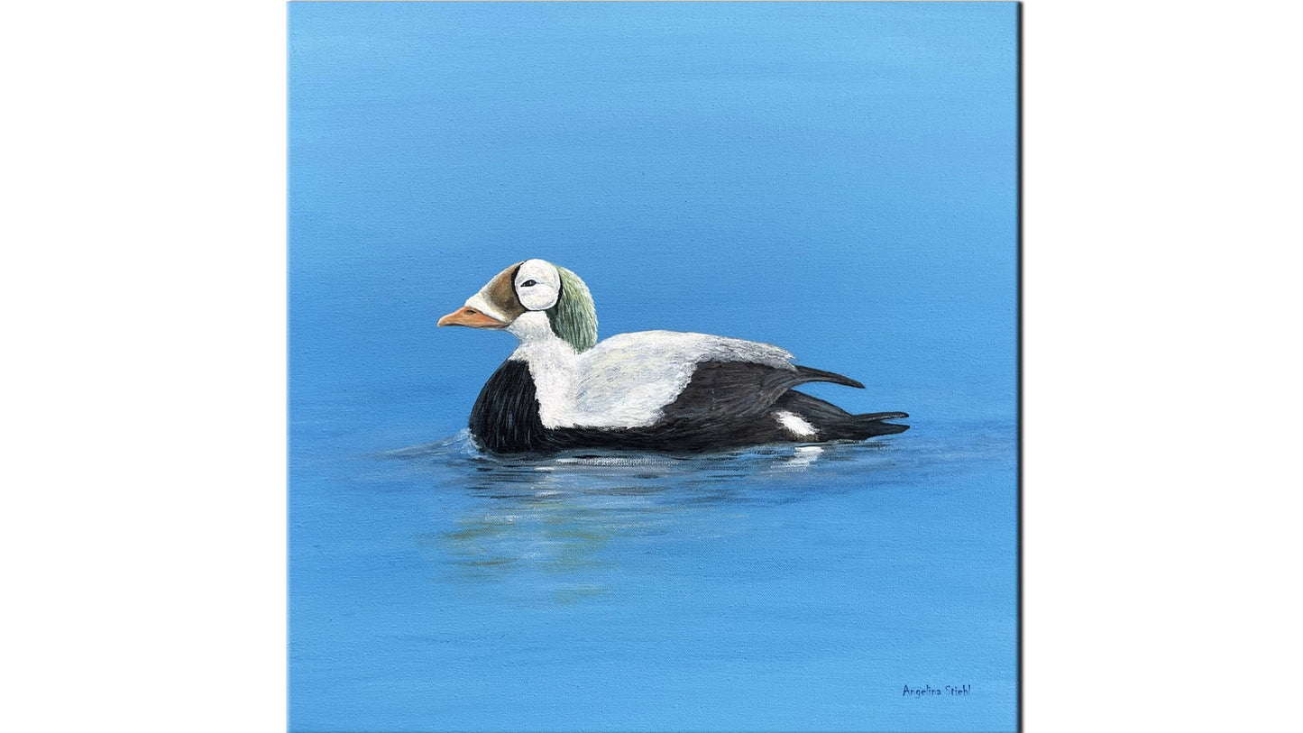 Tegeltjes van Texel - Brileider