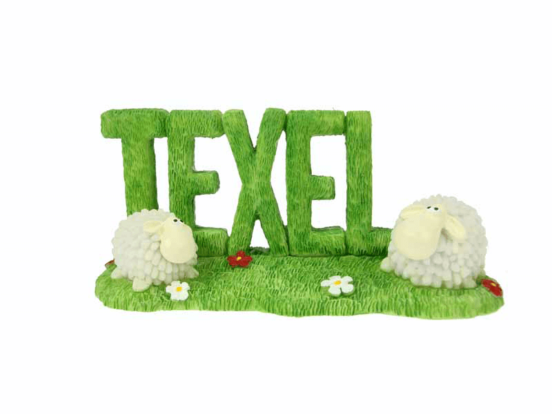 Szene Texel mit Schafen