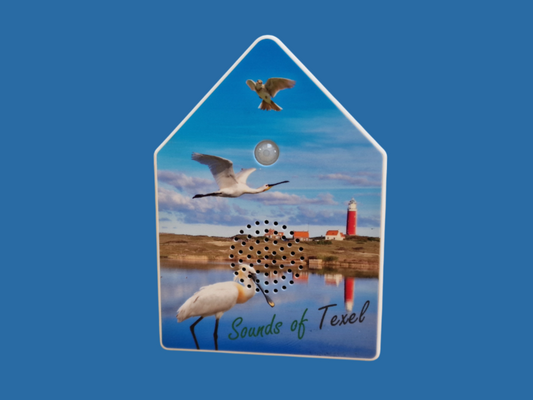 Soundbox Texel