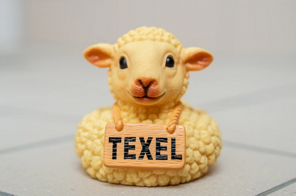 Texel Badschaap