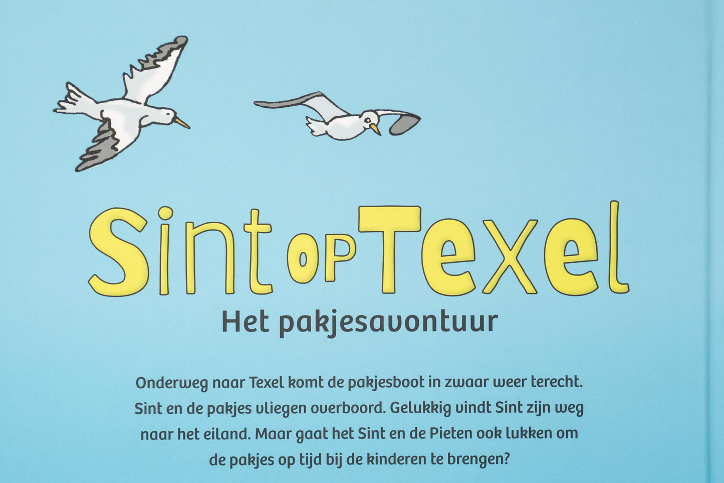 Sint op Texel, het pakjesavontuur