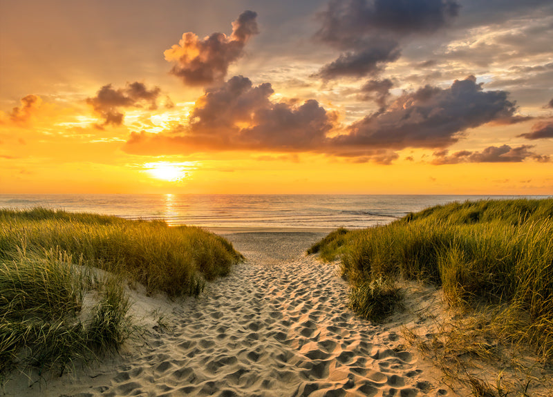 Gartenposter Sommerabendstrand XXL