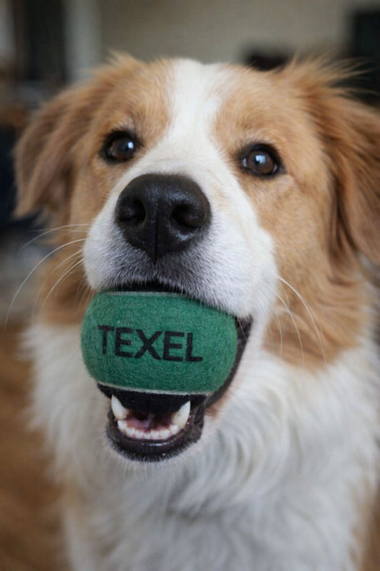 Texel tennisballen - 4 stuks