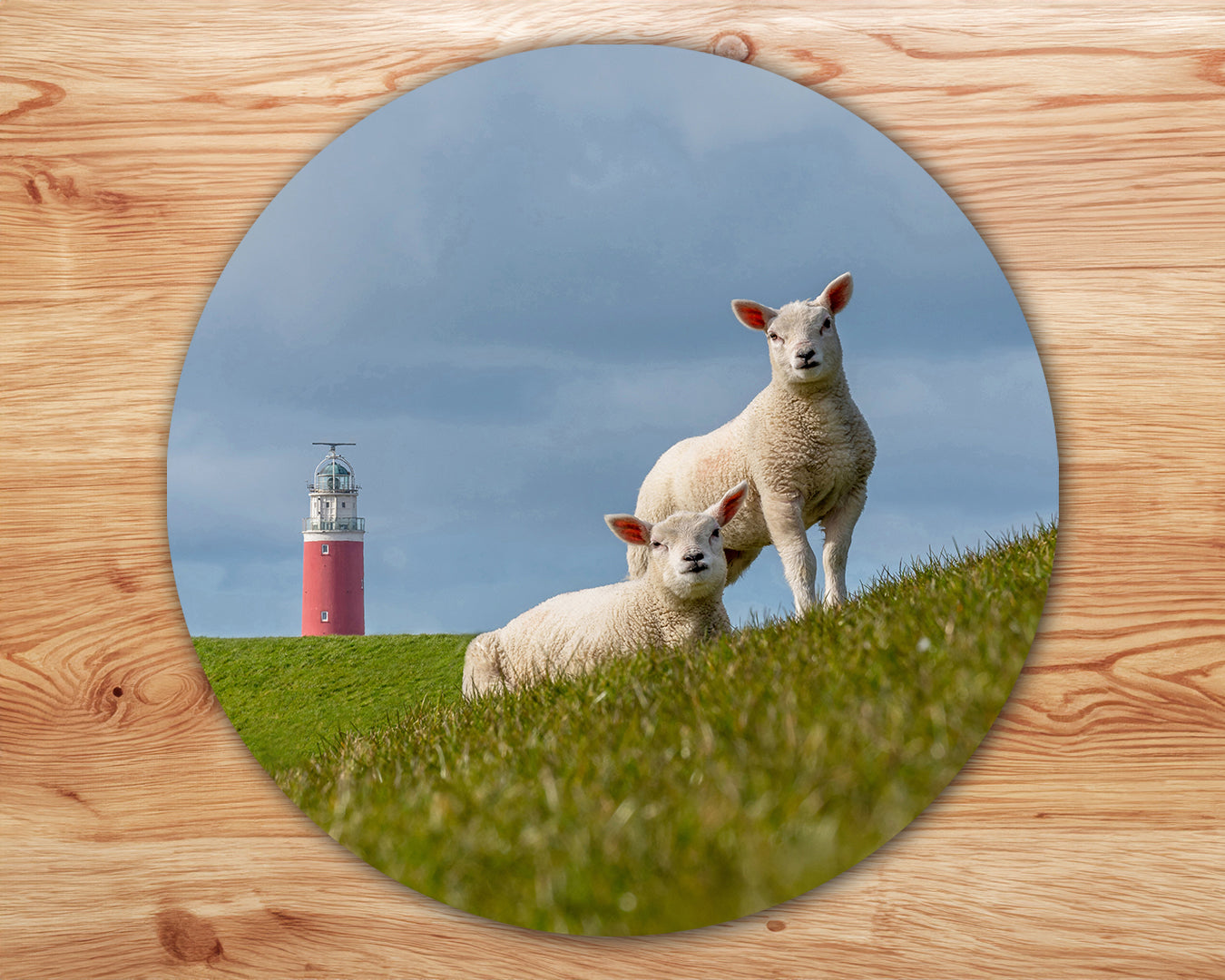 Set van 4 placemats - lammetjes - vuurtoren - strand - duinen