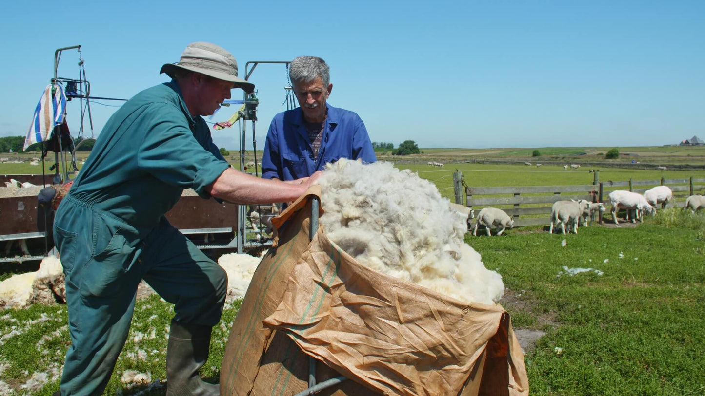 Texeler 4-seizoenendekbed PuurNatuur Perkal