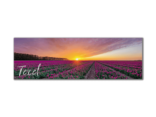 Koelkastmagneet tulpenvelden van Texel