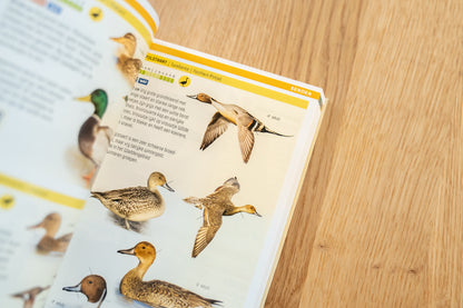 Vogels van Nederland