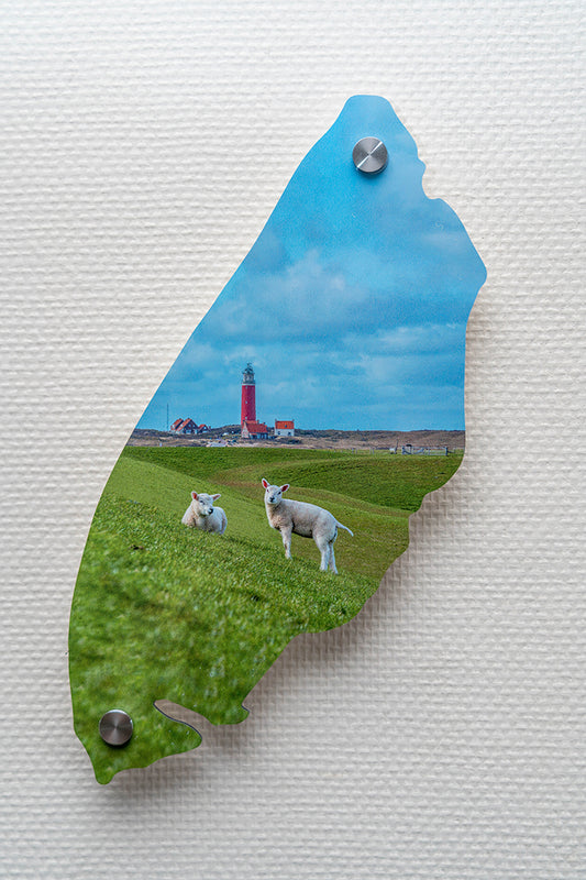 Texel-Schild / Lämmer posieren vor dem Leuchtturm